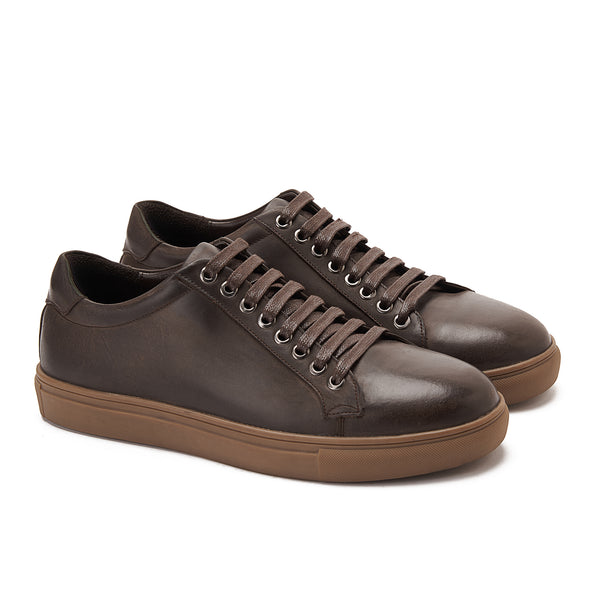 Phoenix Sneakers Brush-Off